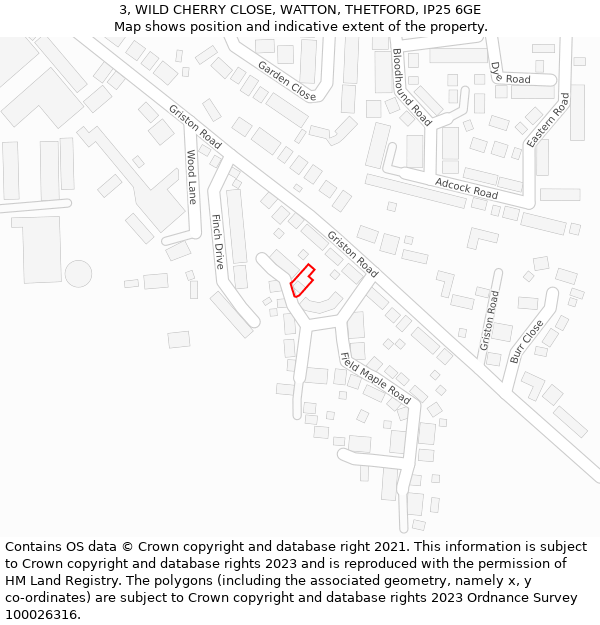 3, WILD CHERRY CLOSE, WATTON, THETFORD, IP25 6GE: Location map and indicative extent of plot