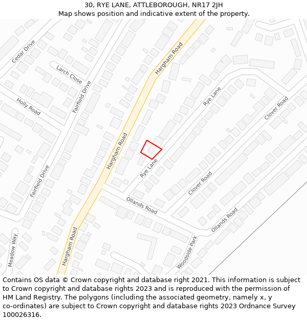30, RYE LANE, ATTLEBOROUGH, NR17 2JH: Location map and indicative extent of plot