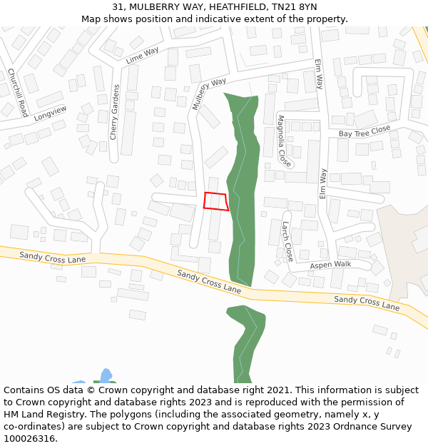 31, MULBERRY WAY, HEATHFIELD, TN21 8YN: Location map and indicative extent of plot