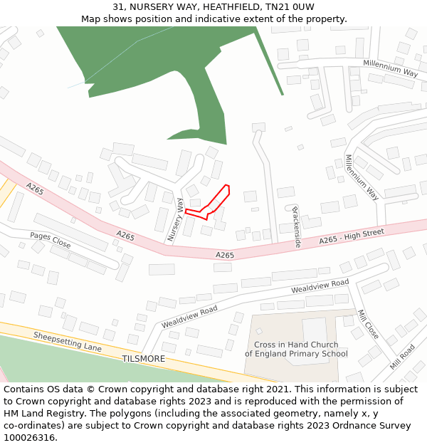 31, NURSERY WAY, HEATHFIELD, TN21 0UW: Location map and indicative extent of plot