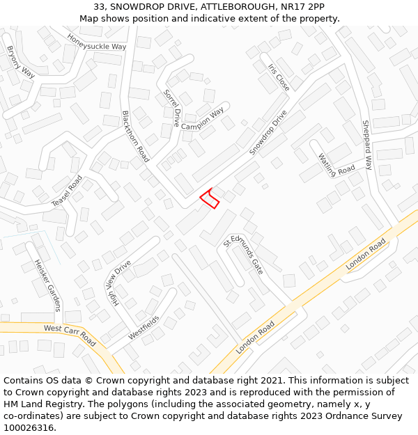 33, SNOWDROP DRIVE, ATTLEBOROUGH, NR17 2PP: Location map and indicative extent of plot