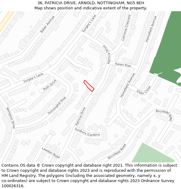 36, PATRICIA DRIVE, ARNOLD, NOTTINGHAM, NG5 8EH: Location map and indicative extent of plot