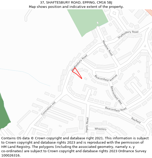 37, SHAFTESBURY ROAD, EPPING, CM16 5BJ: Location map and indicative extent of plot