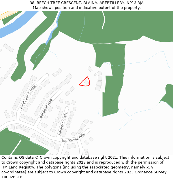 38, BEECH TREE CRESCENT, BLAINA, ABERTILLERY, NP13 3JA: Location map and indicative extent of plot