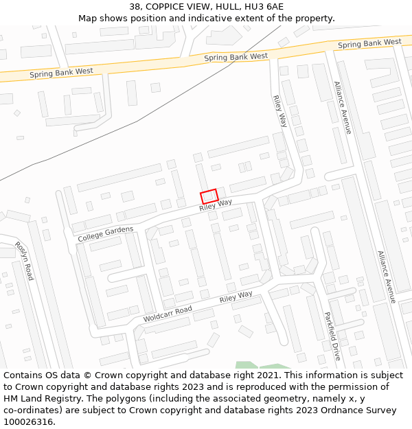 38, COPPICE VIEW, HULL, HU3 6AE: Location map and indicative extent of plot