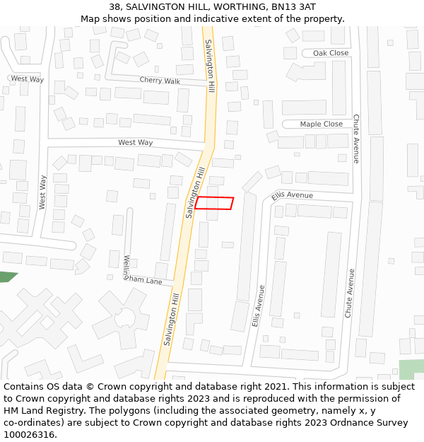 38, SALVINGTON HILL, WORTHING, BN13 3AT: Location map and indicative extent of plot