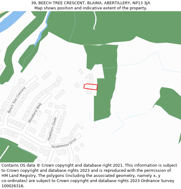 39, BEECH TREE CRESCENT, BLAINA, ABERTILLERY, NP13 3JA: Location map and indicative extent of plot