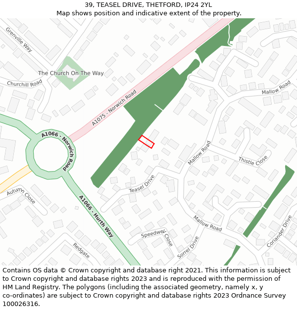 39, TEASEL DRIVE, THETFORD, IP24 2YL: Location map and indicative extent of plot