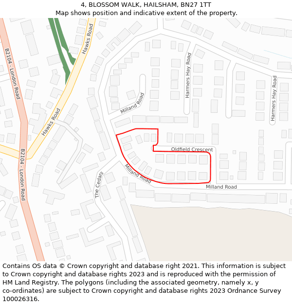4, BLOSSOM WALK, HAILSHAM, BN27 1TT: Location map and indicative extent of plot