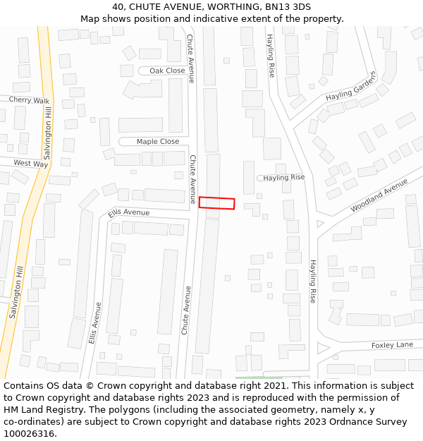 40, CHUTE AVENUE, WORTHING, BN13 3DS: Location map and indicative extent of plot