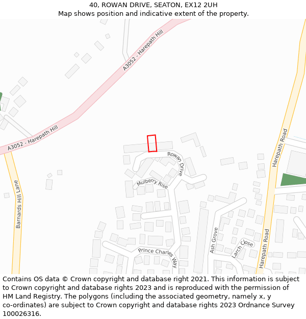 40, ROWAN DRIVE, SEATON, EX12 2UH: Location map and indicative extent of plot