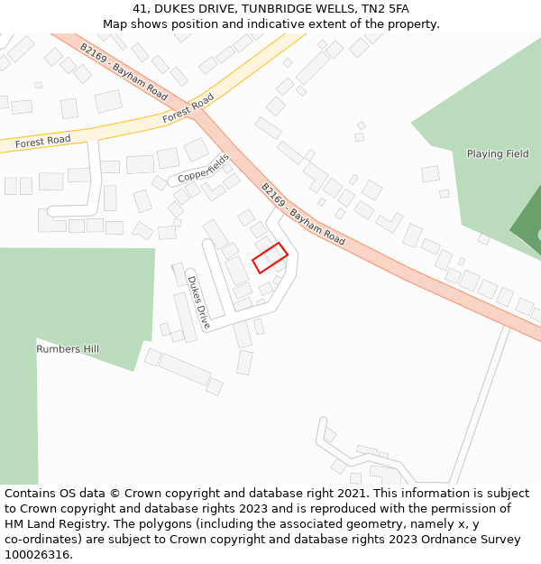 41, DUKES DRIVE, TUNBRIDGE WELLS, TN2 5FA: Location map and indicative extent of plot