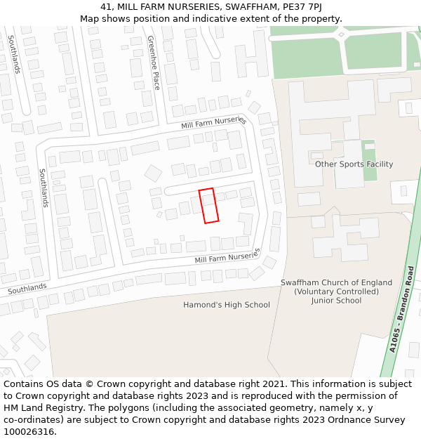 41, MILL FARM NURSERIES, SWAFFHAM, PE37 7PJ: Location map and indicative extent of plot