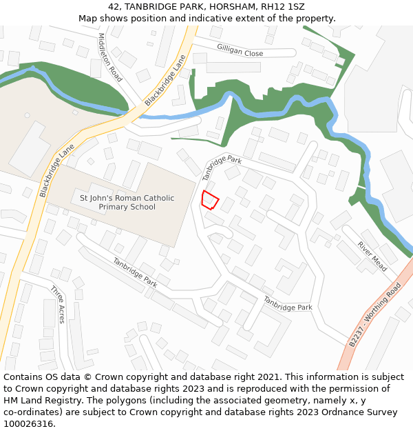 42, TANBRIDGE PARK, HORSHAM, RH12 1SZ: Location map and indicative extent of plot