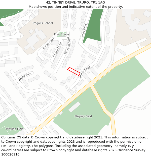 42, TINNEY DRIVE, TRURO, TR1 1AQ: Location map and indicative extent of plot