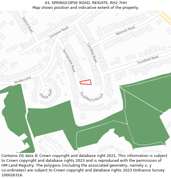 43, SPRINGCOPSE ROAD, REIGATE, RH2 7HH: Location map and indicative extent of plot