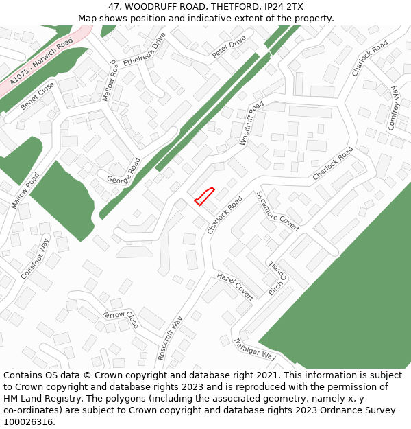 47, WOODRUFF ROAD, THETFORD, IP24 2TX: Location map and indicative extent of plot