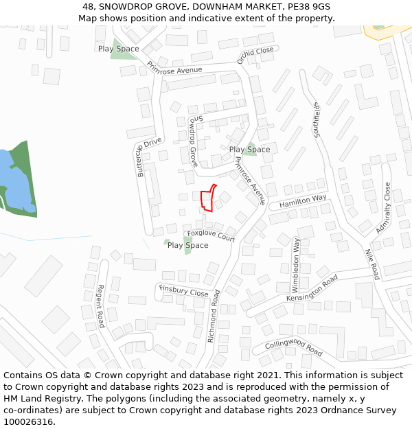 48, SNOWDROP GROVE, DOWNHAM MARKET, PE38 9GS: Location map and indicative extent of plot