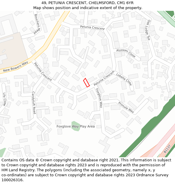 49, PETUNIA CRESCENT, CHELMSFORD, CM1 6YR: Location map and indicative extent of plot