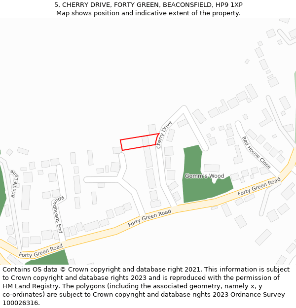 5, CHERRY DRIVE, FORTY GREEN, BEACONSFIELD, HP9 1XP: Location map and indicative extent of plot