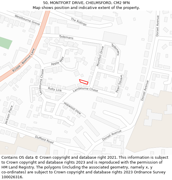 50, MONTFORT DRIVE, CHELMSFORD, CM2 9FN: Location map and indicative extent of plot