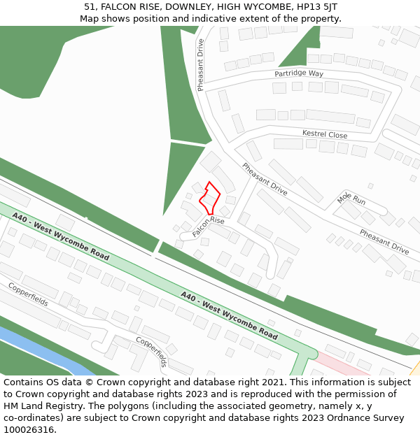 51, FALCON RISE, DOWNLEY, HIGH WYCOMBE, HP13 5JT: Location map and indicative extent of plot