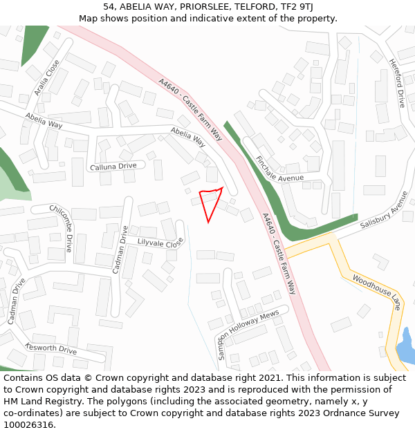 54, ABELIA WAY, PRIORSLEE, TELFORD, TF2 9TJ: Location map and indicative extent of plot