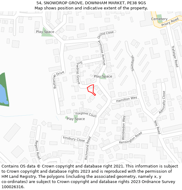 54, SNOWDROP GROVE, DOWNHAM MARKET, PE38 9GS: Location map and indicative extent of plot