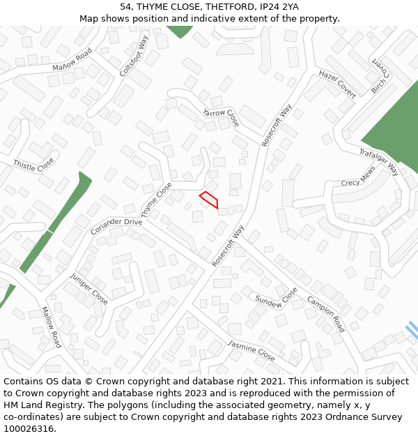 54, THYME CLOSE, THETFORD, IP24 2YA: Location map and indicative extent of plot