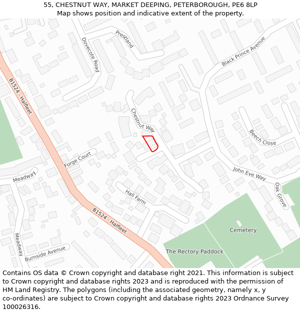 55, CHESTNUT WAY, MARKET DEEPING, PETERBOROUGH, PE6 8LP: Location map and indicative extent of plot