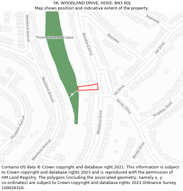 56, WOODLAND DRIVE, HOVE, BN3 6DJ: Location map and indicative extent of plot