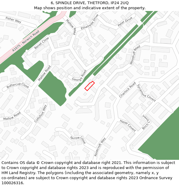 6, SPINDLE DRIVE, THETFORD, IP24 2UQ: Location map and indicative extent of plot