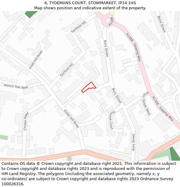 6, TYDEMANS COURT, STOWMARKET, IP14 1HS: Location map and indicative extent of plot