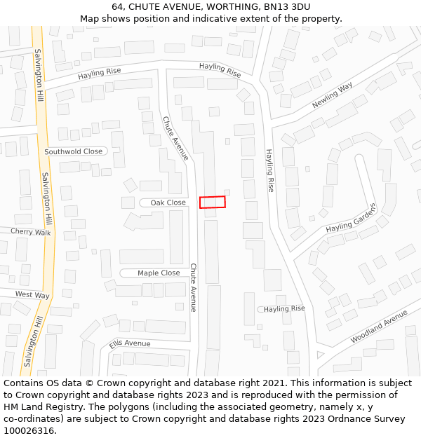 64, CHUTE AVENUE, WORTHING, BN13 3DU: Location map and indicative extent of plot
