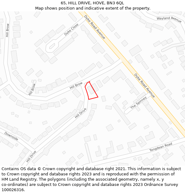 65, HILL DRIVE, HOVE, BN3 6QL: Location map and indicative extent of plot