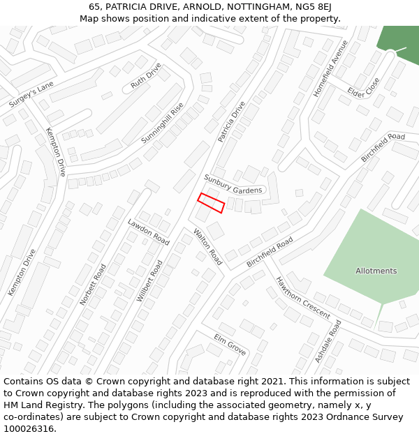 65, PATRICIA DRIVE, ARNOLD, NOTTINGHAM, NG5 8EJ: Location map and indicative extent of plot