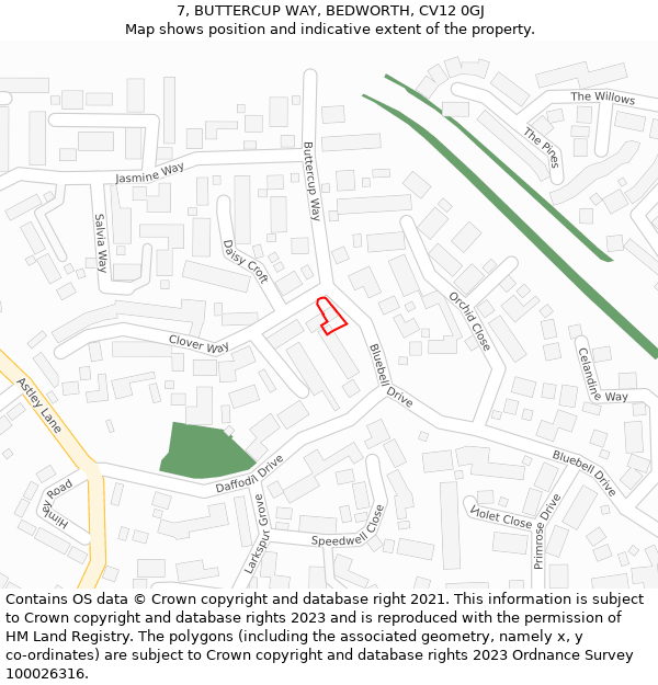 7, BUTTERCUP WAY, BEDWORTH, CV12 0GJ: Location map and indicative extent of plot