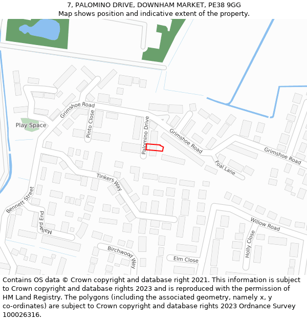 7, PALOMINO DRIVE, DOWNHAM MARKET, PE38 9GG: Location map and indicative extent of plot