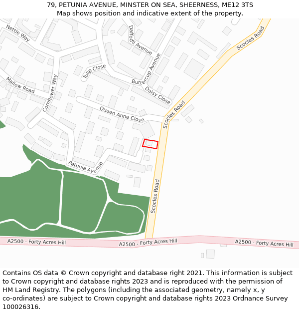79, PETUNIA AVENUE, MINSTER ON SEA, SHEERNESS, ME12 3TS: Location map and indicative extent of plot