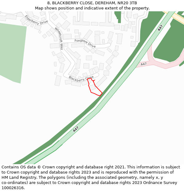 8, BLACKBERRY CLOSE, DEREHAM, NR20 3TB: Location map and indicative extent of plot