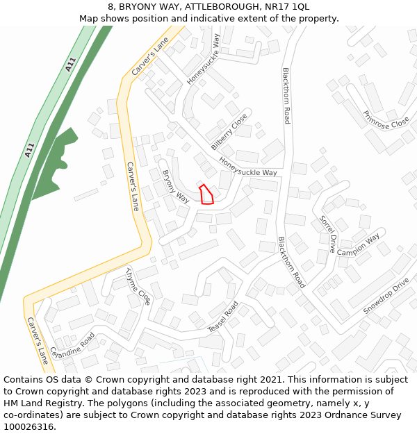 8, BRYONY WAY, ATTLEBOROUGH, NR17 1QL: Location map and indicative extent of plot