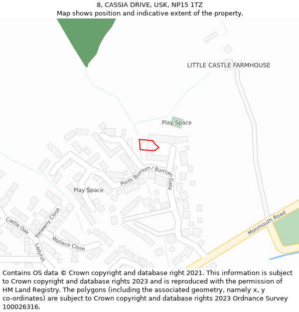 8, CASSIA DRIVE, USK, NP15 1TZ: Location map and indicative extent of plot