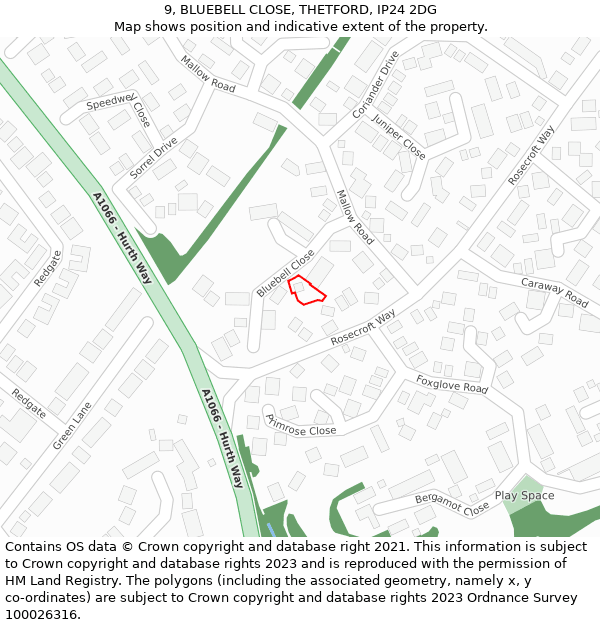 9, BLUEBELL CLOSE, THETFORD, IP24 2DG: Location map and indicative extent of plot