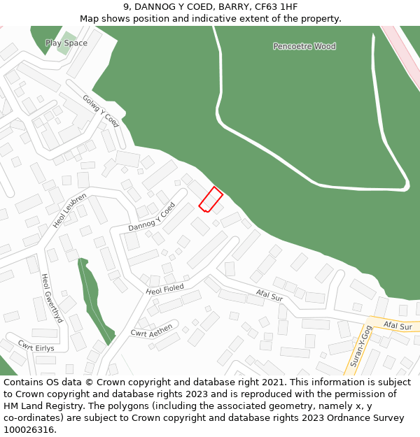 9, DANNOG Y COED, BARRY, CF63 1HF: Location map and indicative extent of plot