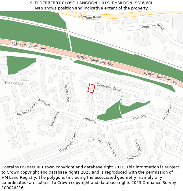 9, ELDERBERRY CLOSE, LANGDON HILLS, BASILDON, SS16 6RL: Location map and indicative extent of plot