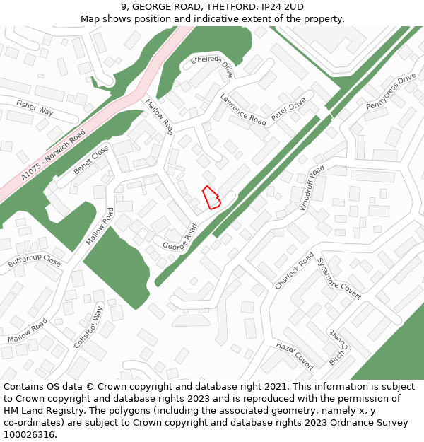 9, GEORGE ROAD, THETFORD, IP24 2UD: Location map and indicative extent of plot