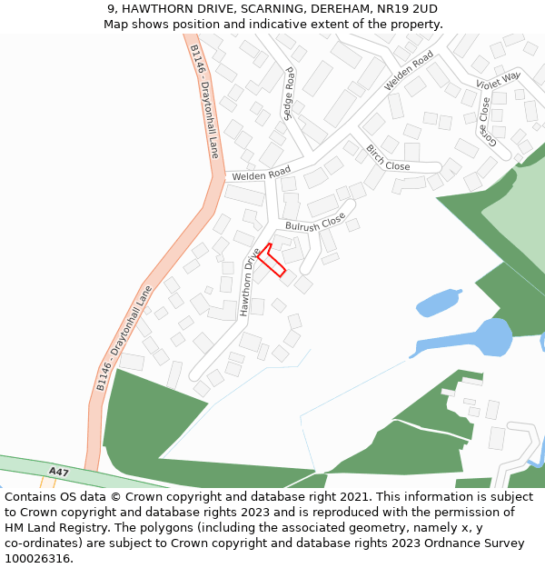 9, HAWTHORN DRIVE, SCARNING, DEREHAM, NR19 2UD: Location map and indicative extent of plot