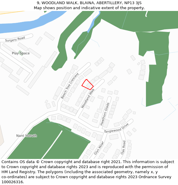 9, WOODLAND WALK, BLAINA, ABERTILLERY, NP13 3JS: Location map and indicative extent of plot