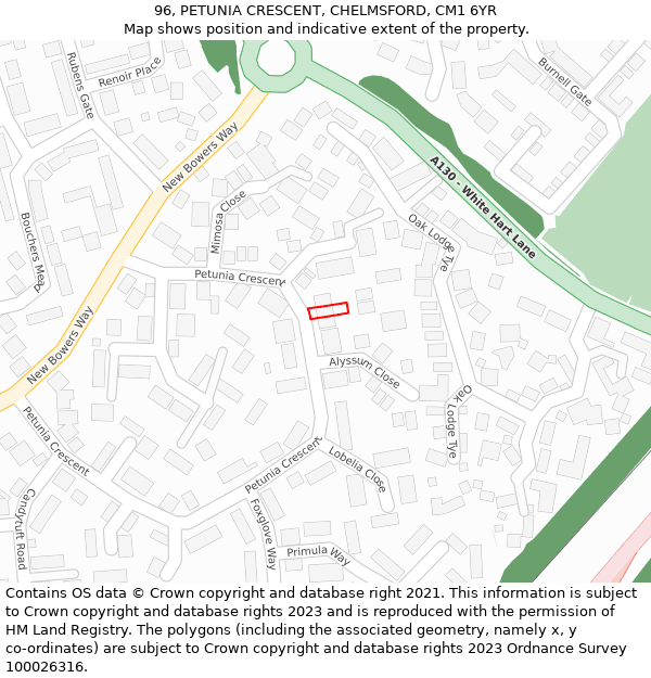 96, PETUNIA CRESCENT, CHELMSFORD, CM1 6YR: Location map and indicative extent of plot