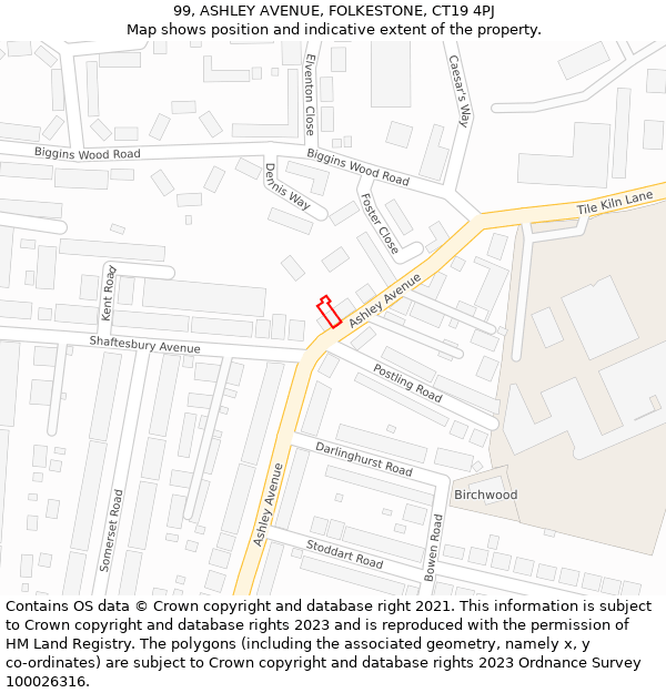 99, ASHLEY AVENUE, FOLKESTONE, CT19 4PJ: Location map and indicative extent of plot